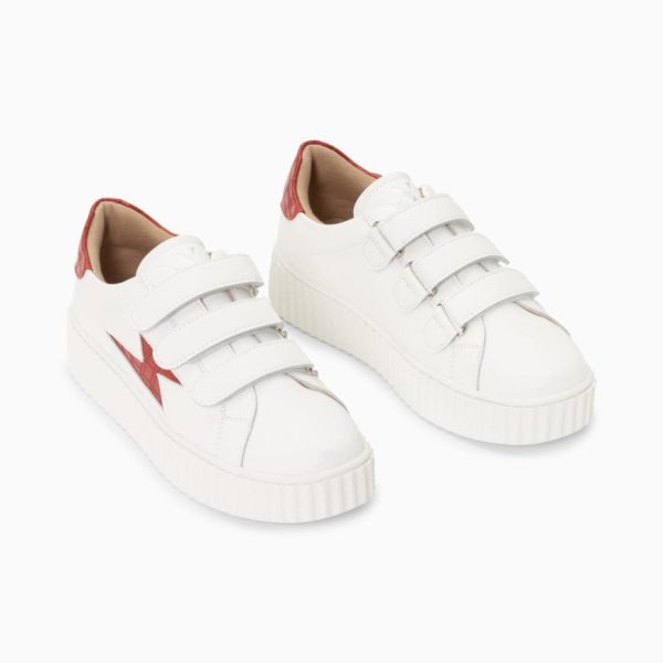 Kellychris.shop08c474e31d 3