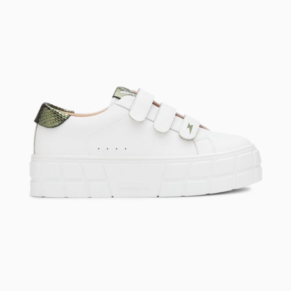 Kellychris.shopb6262d311b 1