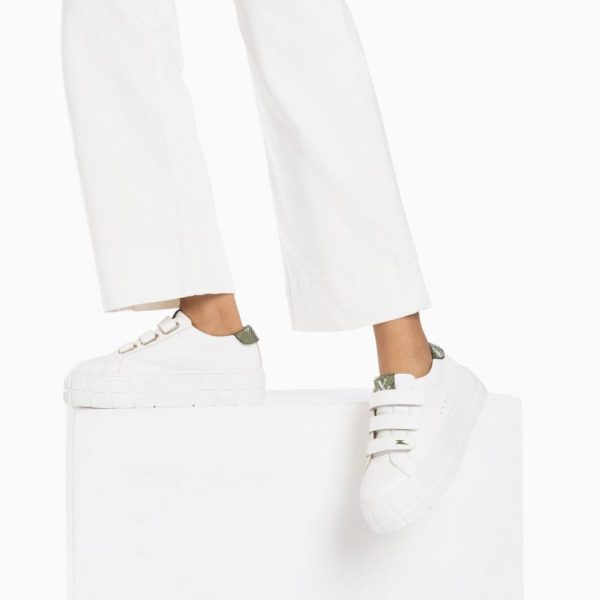 Kellychris.shopb6262d311b 2