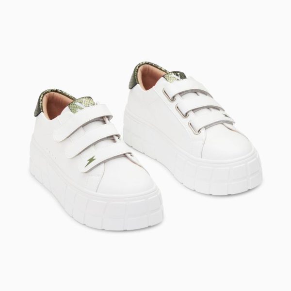 Kellychris.shopb6262d311b 3