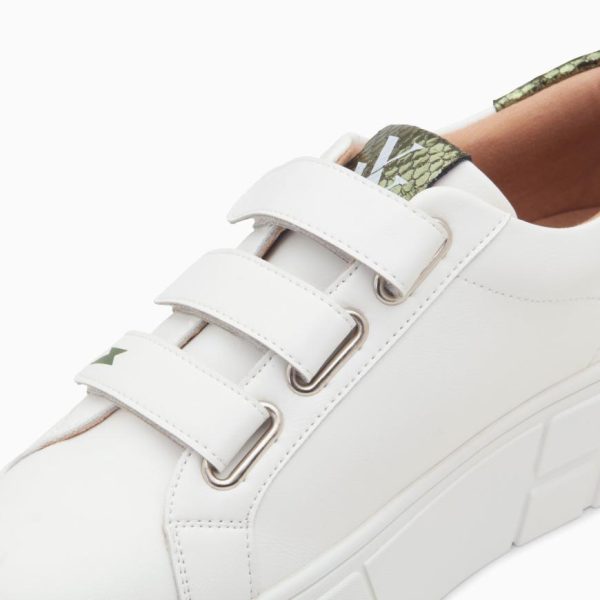 Kellychris.shopb6262d311b 5