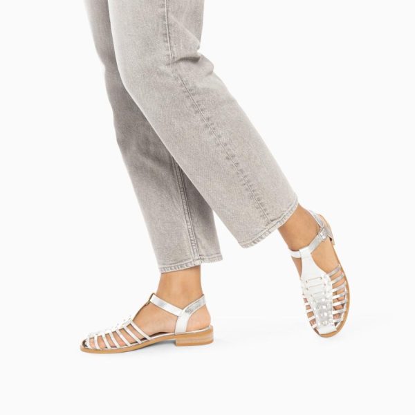 Kellychris.shopcbeaf5b917 2