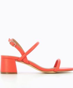 Kellychris.shope6354951dd 1