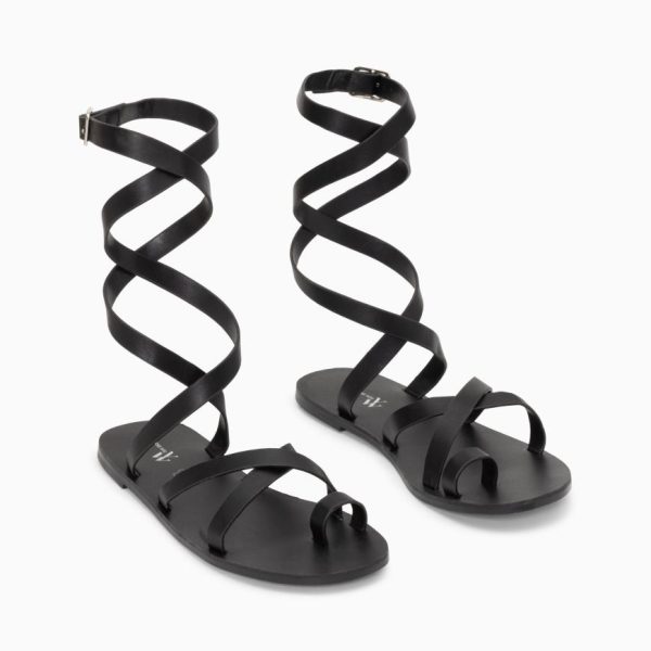 Kellychris.shopffa3851b50 3