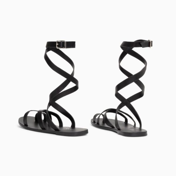 Kellychris.shopffa3851b50 4